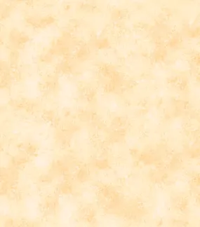 Rapture Apricot